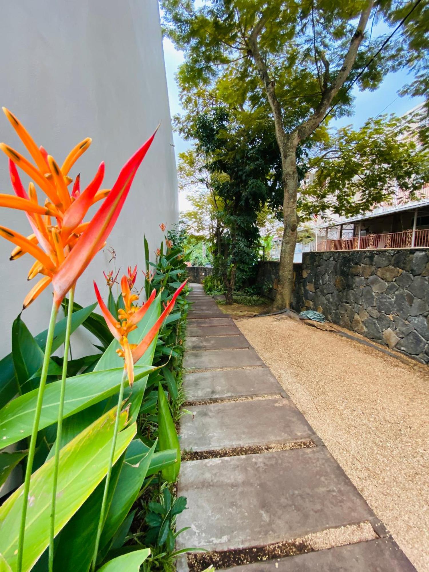 Belle Haven Gf 1Bedroom Flat Mont-Choisy Exterior foto